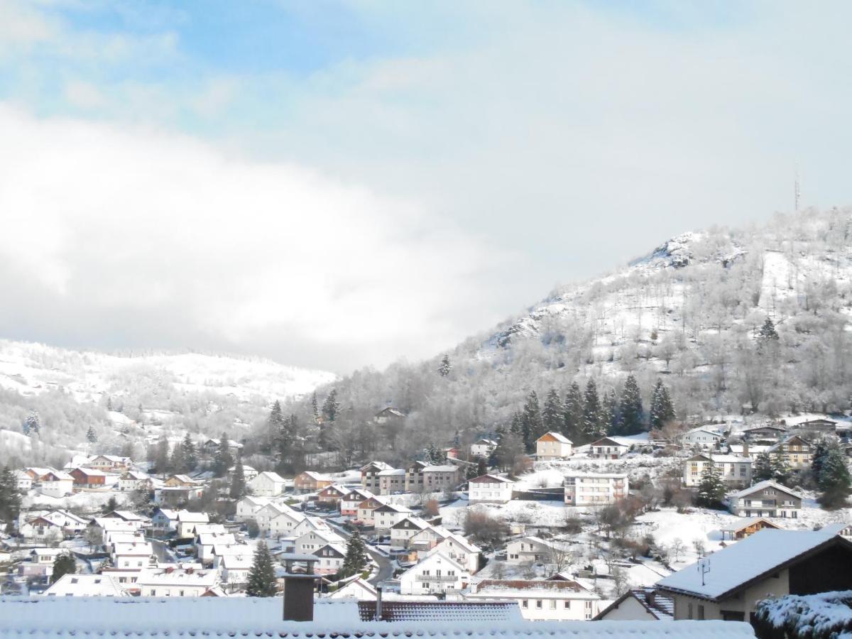 Hameau Des Chaumes Vue Panoramique Apartamento La Bresse Exterior foto
